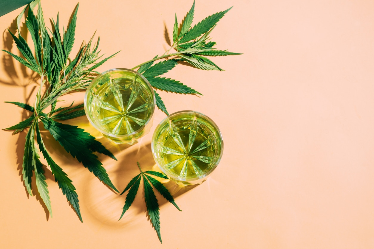 SBD hemp drink different glass glasses, creative green hard shadow background, cocktail of cannabis